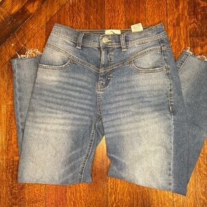 Basque Waist, Taper Leg Jordache Vintage